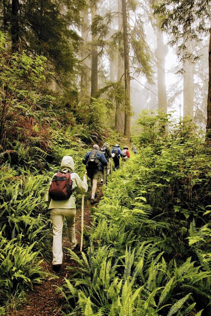 Kilimanjaro Adventure